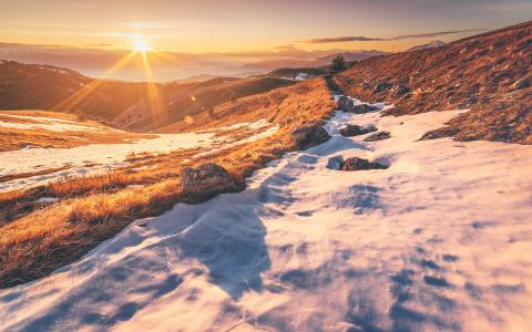 日落阳光雪风景草高清壁纸