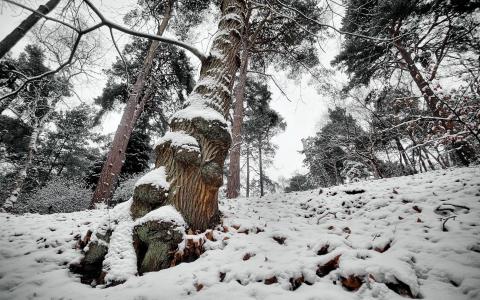 景观冬季雪山免费图像壁纸