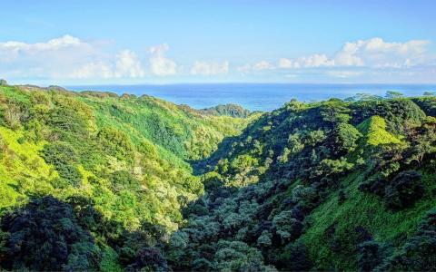 美丽海岛风景唯美