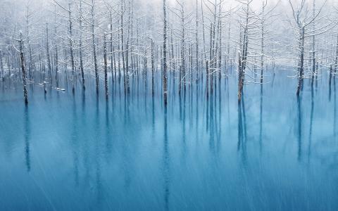 雪池壁纸