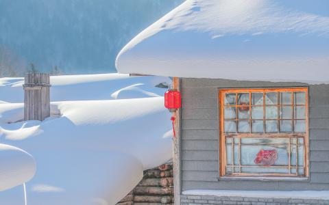 雪乡雪蘑菇唯美风景