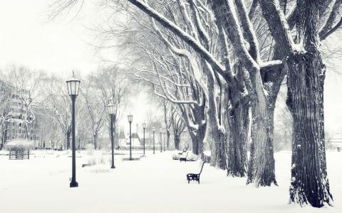 冬季雪街道高清分辨率壁纸