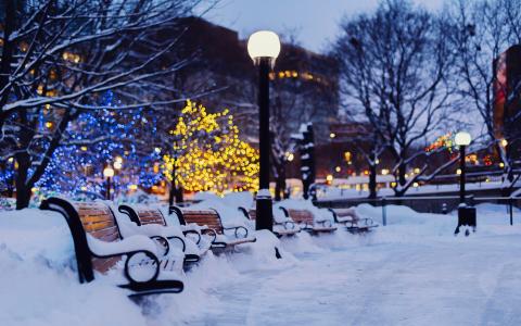 城市，夜，冬季，雪，长凳，花园，灯壁纸