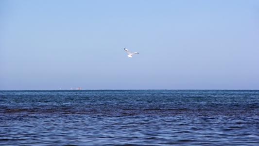 唯美青海湖摄影