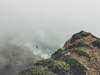 山，高峰，鸟，雾，景观壁纸