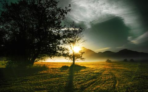 夕阳阳光树木风景高清壁纸