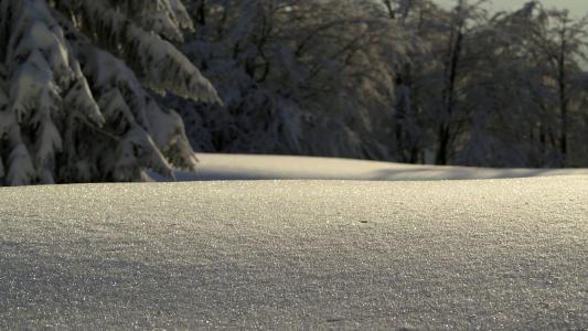 雪冬季高清壁纸