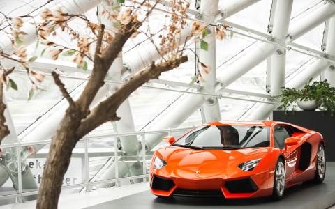 兰博基尼Aventador LP700 4 2013相关车壁纸