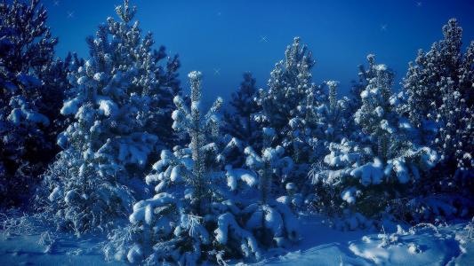 Arboles Cubiertos De Nieve壁纸