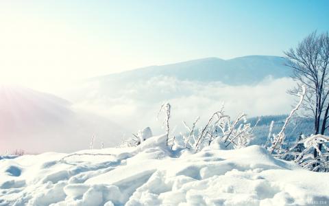 雪在冬季壁纸山