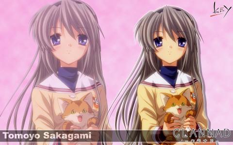 动漫，动漫女孩，Clannad，Sakagami Tomoyo，猫壁纸