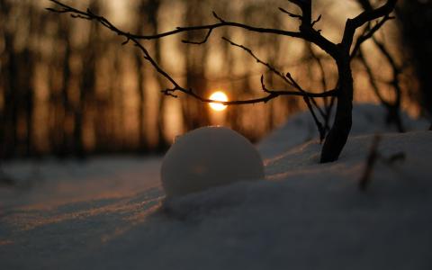 雪冬季宏散景高清壁纸