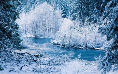 冬季自然风光，白雪，树木，河流壁纸