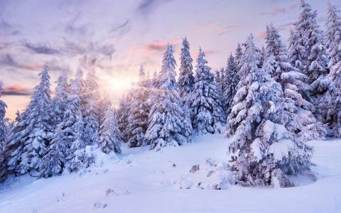 冬日唯美雪景