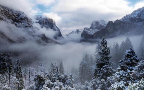 优胜美地国家公园，美国，加利福尼亚州，树，山，冬天，雪，雾壁纸