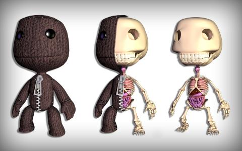 LittleBigPlanet Sackboy Skeleton Anatomy Bones高清壁纸