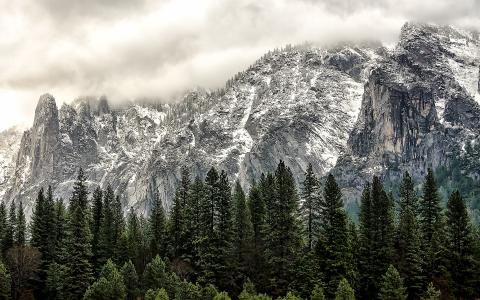 山树冬季雪高清壁纸