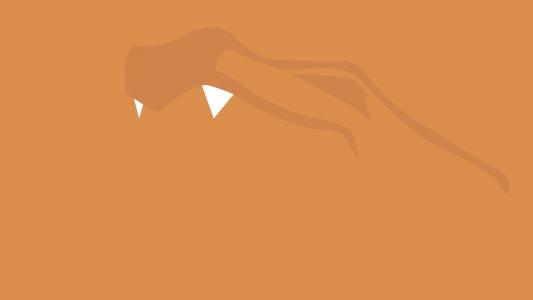 宠物小精灵Minimal Orange Charizard高清壁纸
