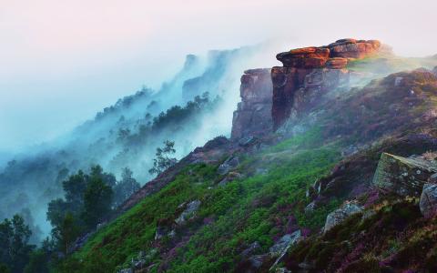 清晨山风景，森林，雾，花，草，石头壁纸