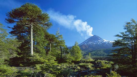 蒸汽壁纸的火山