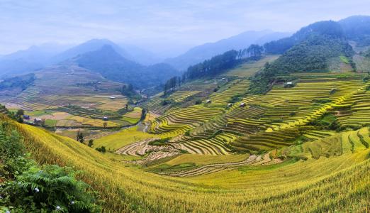 山，丘陵，田野壁纸