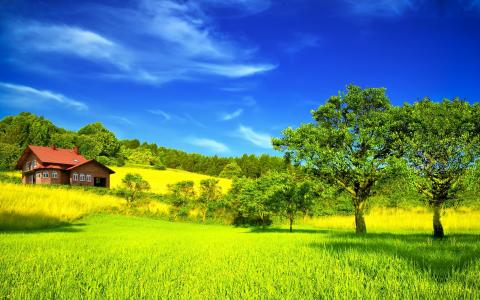 夏天的房子,绿色的田野壁纸