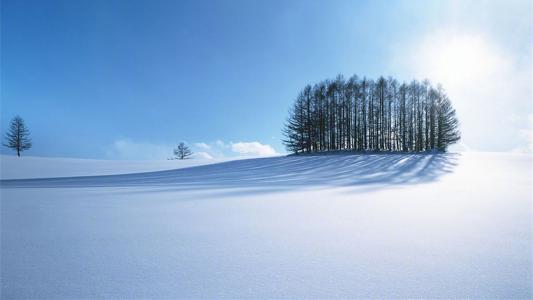 唯美雪景风光