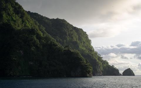 丛林海岸海洋高清壁纸