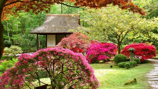 春日本花园壁纸