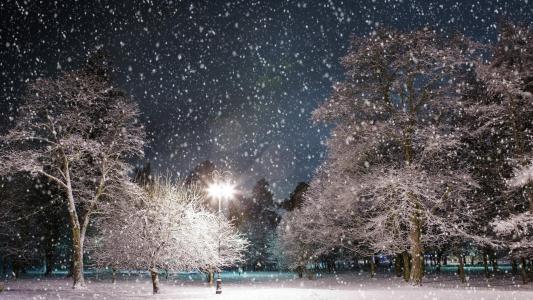 在公园墙纸的阵雪