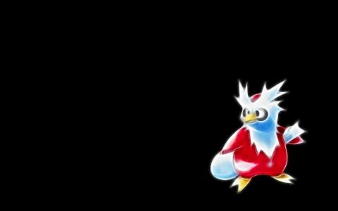 Delibird，极简主义，黑色背景壁纸