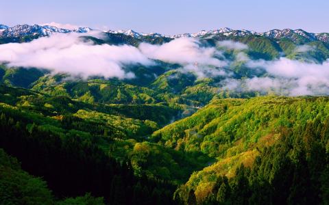 日本本州石川，春天的早晨，美丽的自然景观，雾，山壁纸