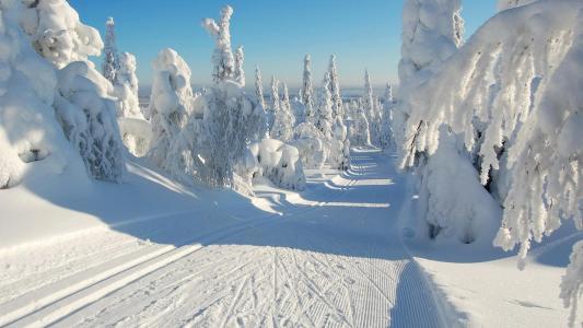 天空，冬天，路，树，雪，自然风景壁纸