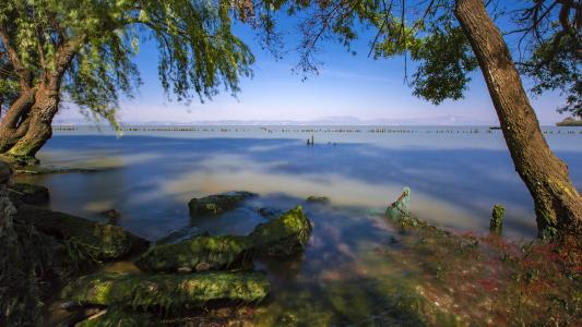 昆明捞鱼河湿地公园风景摄影