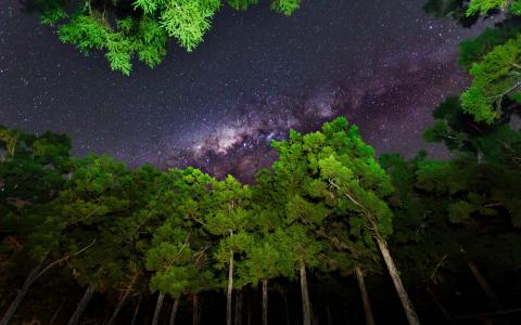 天空，星星，夜晚的壁纸