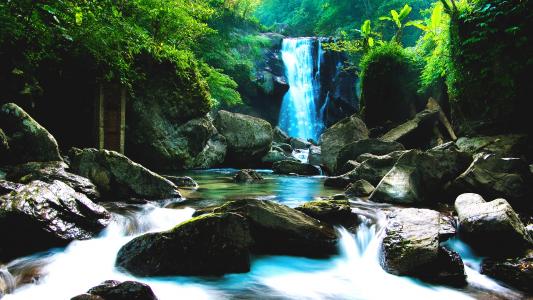 瀑布岩石石河丛林森林高清壁纸