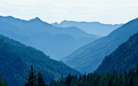 山和树高清风景壁纸