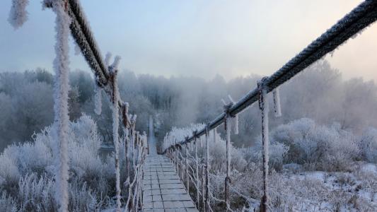 桥树霜冬季雪高清壁纸