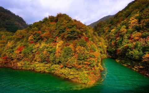 日本的田泽湖，山，森林，秋季壁纸