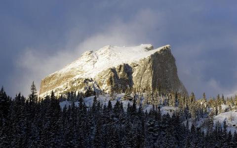 山树雪林高清壁纸