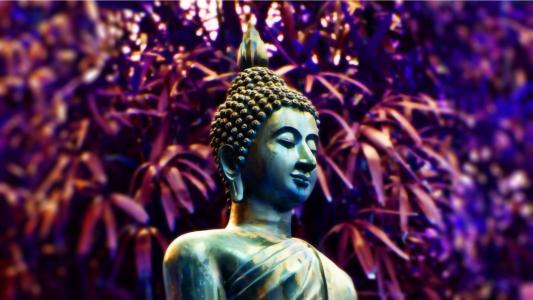 Buddha Statue Hawai wallpaper