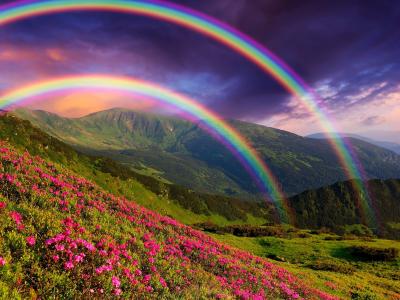 自然景观,山,鲜花,彩虹壁纸