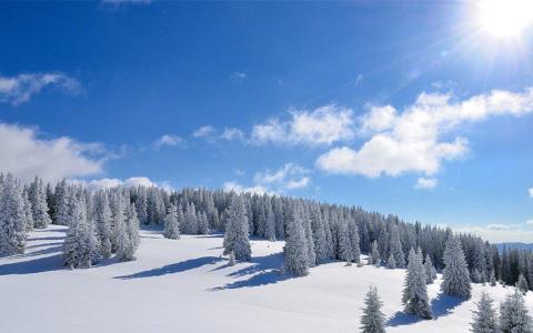 冬日唯美雪景