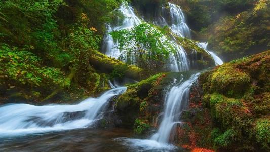 绿色清新养眼自然风景