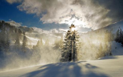 森林，雪，冬天，山，雾，云，太阳壁纸