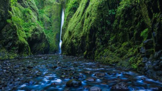 绿色清新养眼自然风景