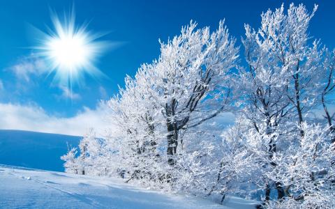 冬季雪桌面壁纸