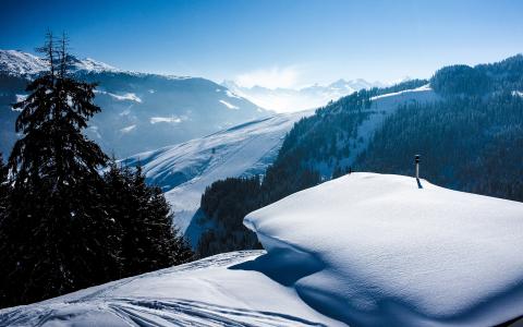 雪冬季树景观山高清壁纸