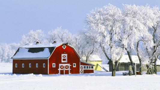 谷仓雪冬季树木高清壁纸