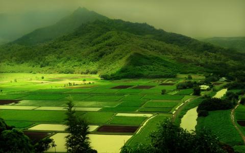 领域风景高清壁纸